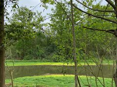 -桤木河湿地公园