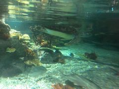 -福州罗源湾海洋世界旅游区