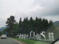 -四川省成都市彭州市白鹿镇