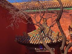 -故宫博物院(故宫)