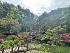 -铁山坪森林公园