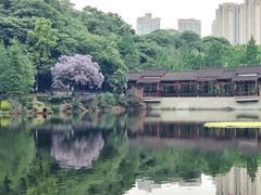 -重庆彩云湖湿地公园