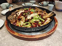 -老板恋上鱼(恒隆广场店)