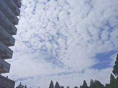 -原山国家森林公园