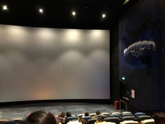 -春天国际影城(中庚漫游城杜比全景声店)