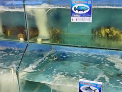 水产区-琼大师东方烤乳猪(亚特兰蒂斯店)