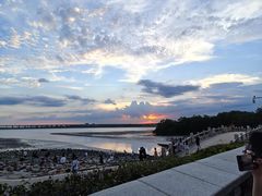 -宝安西湾红树林湿地公园