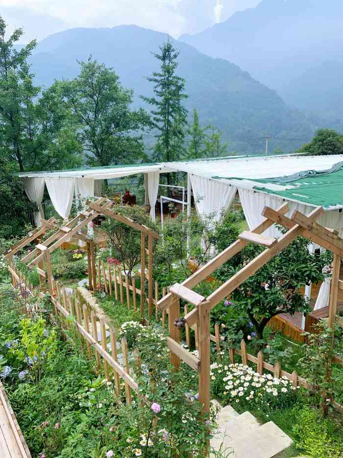 张家小院 花园餐厅-"中秋的桂花雨!满院子的桂花香,这样的环境.