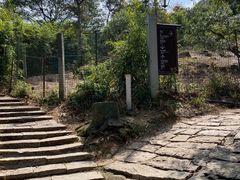 -大罗山风景区