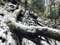 -九峰山