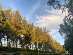 -宝安西湾红树林湿地公园