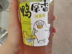 -金味老饭铺(晚报店)