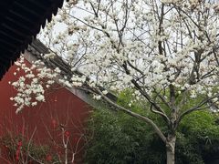 -钱王祠