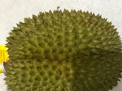 -红星农博物流中心