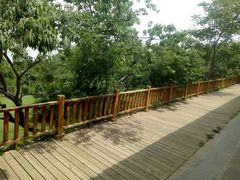-兰山公园