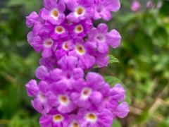 -广州神农草堂中医药博物馆