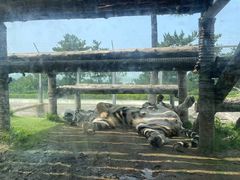 -西霞口神雕山野生动物世界