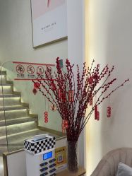 -MIDA蜜哒•科技逆龄美肤连锁