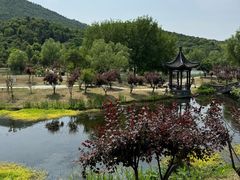 -石塘人家