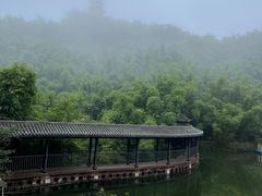 -沐川竹海旅游景区