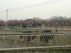 -宾湖农庄·农场特色(太湖龙之梦店)