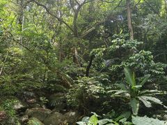 -七仙岭温泉国家森林公园