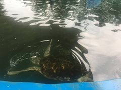 -北戴河圣蓝海洋公园