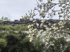 -蒋氏故居