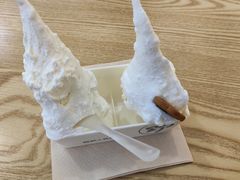 -野人先生Gelato(上海长宁龙之梦店)