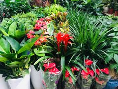 -秦美花卉(天朗·莱茵小城2期店)