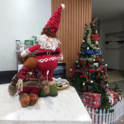 -榕树上·瑜伽普拉提