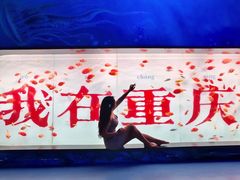 -重庆欢乐海底世界