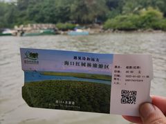 -东寨港红树林旅游区