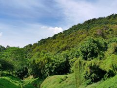 -大雁山风景区