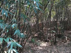-福道