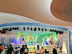 -帝企鹅自助餐厅•儿童岛•真企鹅(长隆企鹅酒店)