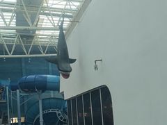 -青岛东方影都融创水世界