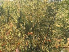 -龙潭生态旅游度假区