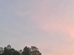 -火炉山森林公园
