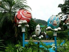-重庆海昌加勒比海水世界