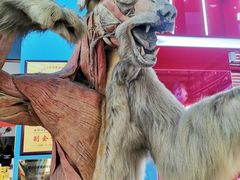 -生命奥秘博物馆
