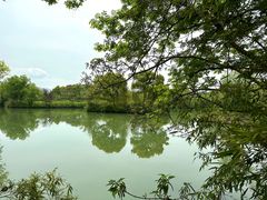 -西溪国家湿地公园