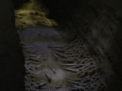 -汉景帝阳陵博物院