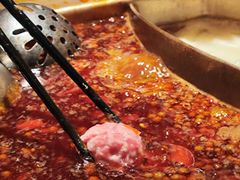 -蜀九香火锅(彩虹店)