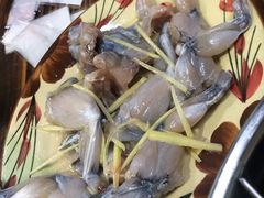 -肥婆麻辣火锅.顺德首创药材麻辣火锅(容桂店)