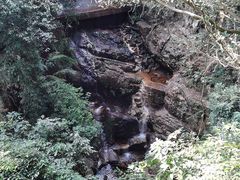 -鼎湖山风景区