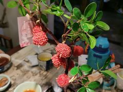 -遇见长安之高山流水(李家村万达店)