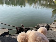 -上海怡沁园度假酒店