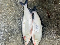 -笑红饭庄
