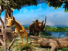 -国家自然博物馆